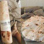 A Day in the Life of the Tortilla Blanket