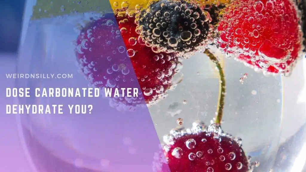 Does Carbonated Water Dehydrate You