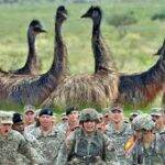 The Great Emu War