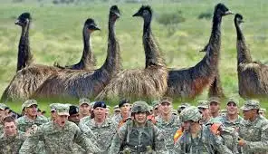 The Great Emu War