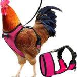 Chicken Harness and Leash